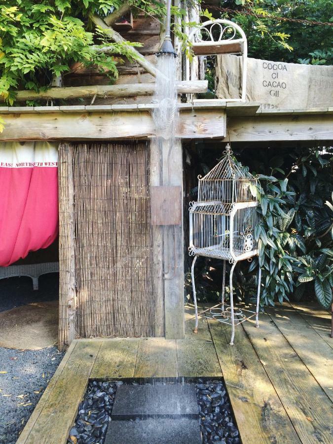 Hote Antique Brignogan-Plages